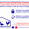 Renforcement des mesures de sécurité pour lutter contre l'influenza aviaire dans les basses cours